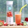SmoothieJet 2 přenosný USB Smoothie mixér 500 ml