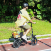 Elektrický bicykel Hidoes C5