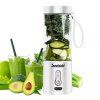 SmoothieJet přenosný USB Smoothie mixér 530 ml - Blendy10