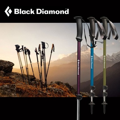bd treking poles