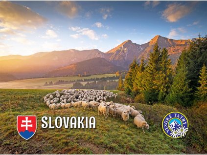Slovakia - ovečky