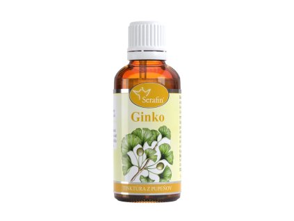 Ginko – tinktúra z pupeňov