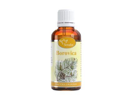 Borovica – tinktúra z pupeňov