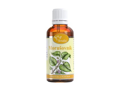 Morušovník – tinktúra z pupeňov