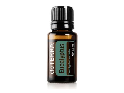 Eukalyptus (Eucalyptus)