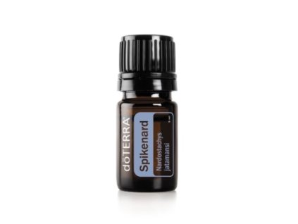Nard (Spikenard)