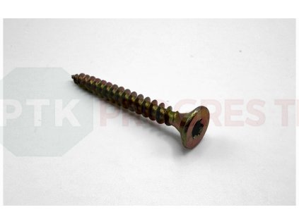 1132 skrutka DT ZH TORX celozávit (2)