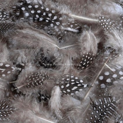 Peříčka 6-10 cm kropenatá