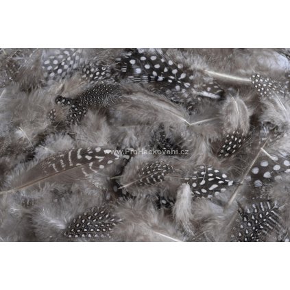 Peříčka 6-10 cm kropenatá