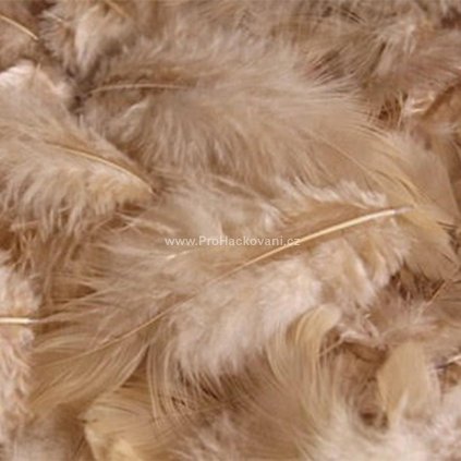 Peříčka 3-7 cm béžová