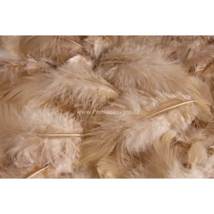 Peříčka 3-7 cm béžová