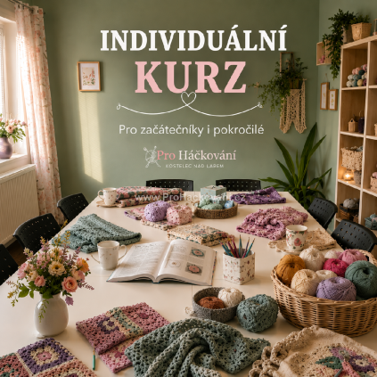 Individuální kurz