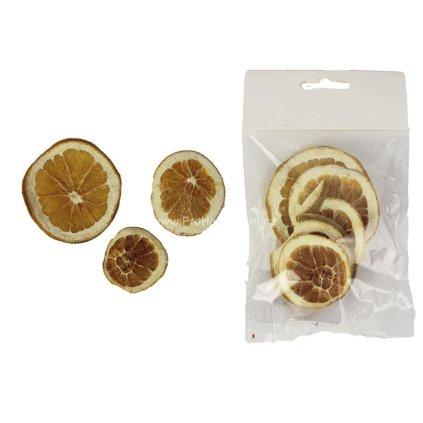 P1304 susene pomerance