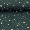 Bavlněná látka vánoční Björn hvězdy petrolejová