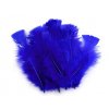 Peříčka 11-17 cm královská modrá