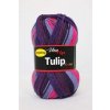 Tulip color 5203 variace s fialovou