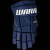 risegs4nv war 03 i