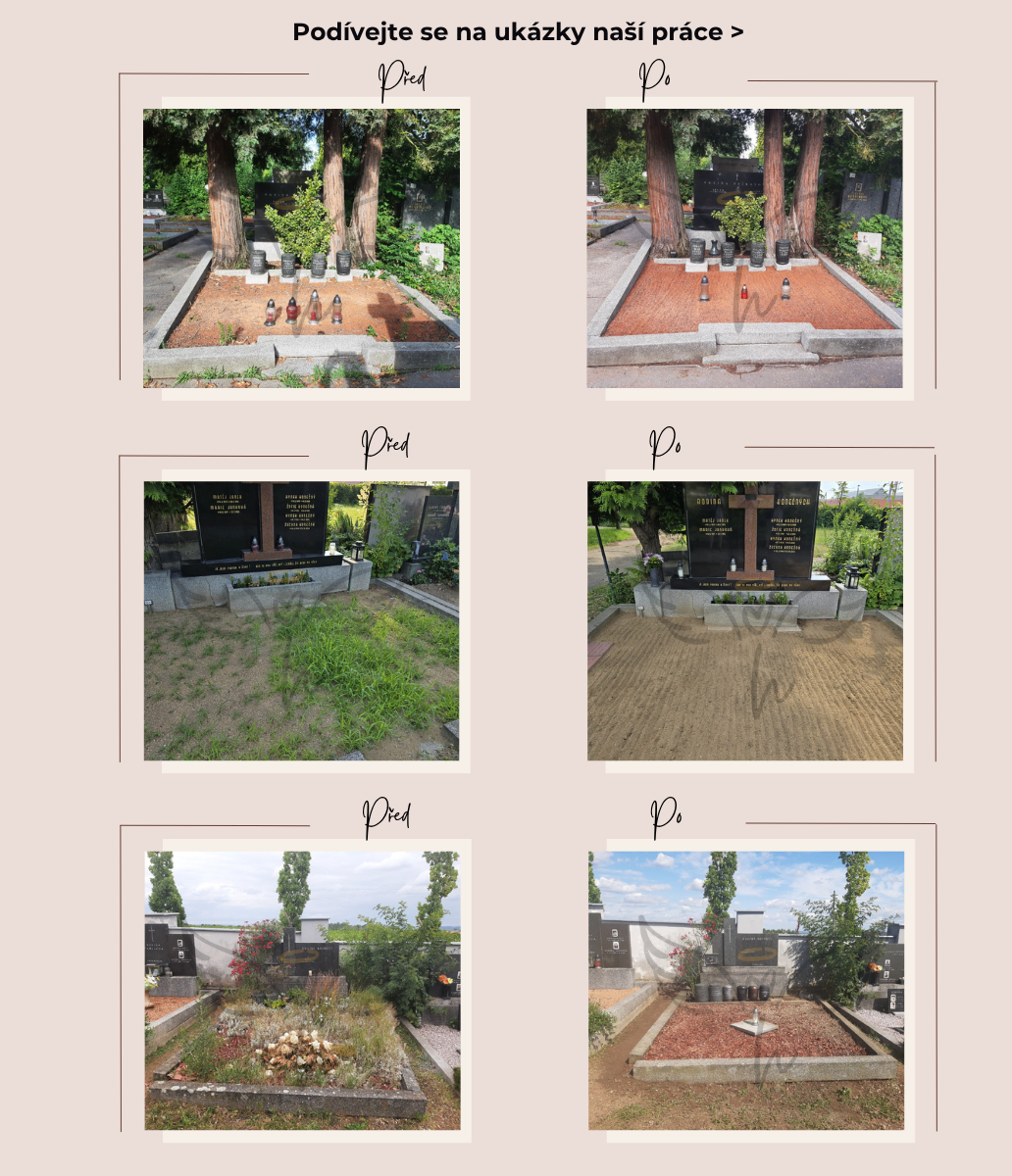 Výsledky, které vidíte