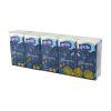papierove vreckovky grite blossom 10ks