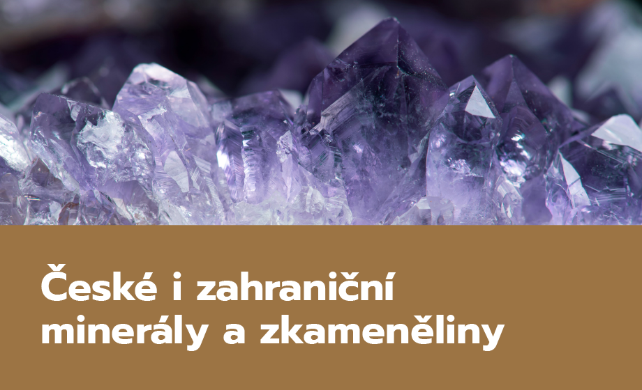 Prodej minerálů a zkamenělin