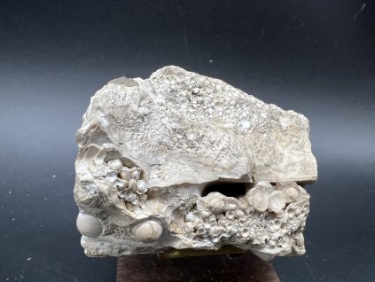 Hrachovec - Karlovy Vary