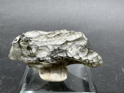Vltavín - Olešník 4,61g