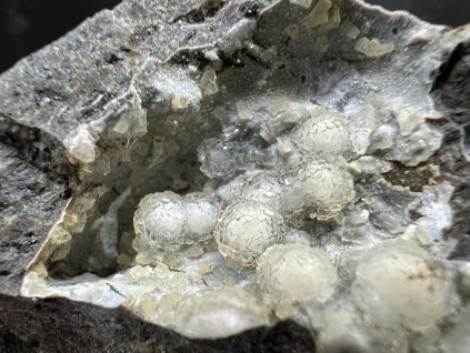 Thomsonit - Folknáře č.5