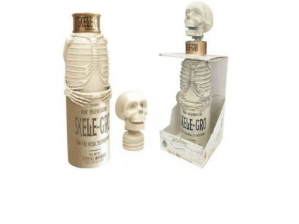 Merch Láhev Harry Potter PVC Bottle 300 ml SkeleGro