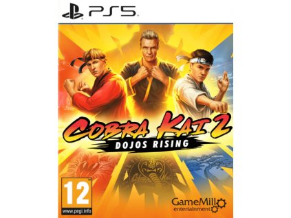 PS5 Cobra Kai 2 Dojos Rising