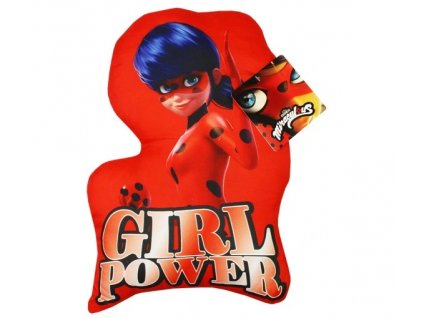 Polštář Kouzelná beruška černý kocour Girl Power