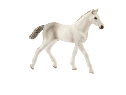 Schleich 17079 Holštýnské hříbě