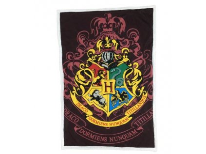 Deka Harry Potter Hogwarts 100x150cm