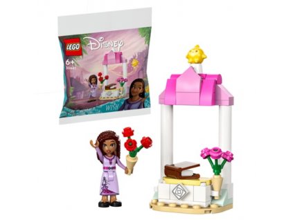 Lego 30661 Disney Přání Asha