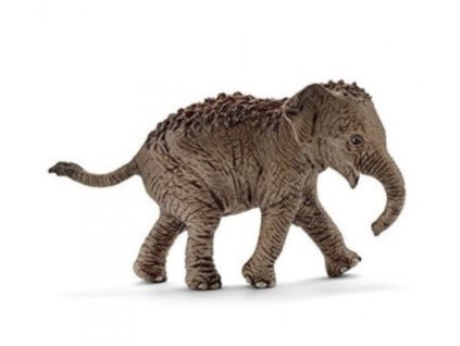 Schleich 14755 Wild Life Asijský slon mládě