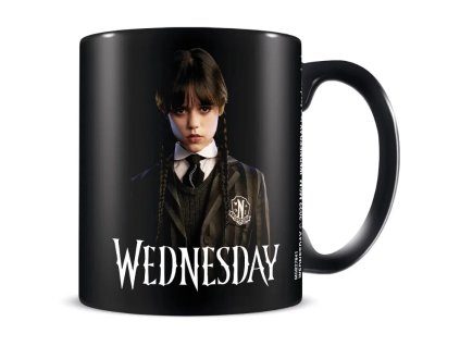 Hrnek Wednesday Friendship černý