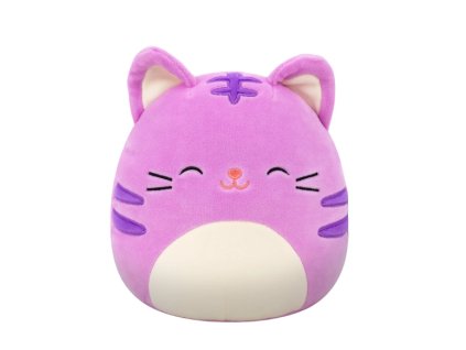 Plyšák Squishmallows Tabby Cat 19cm
