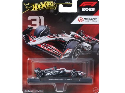 Hot Wheels Formula 1 Haas
