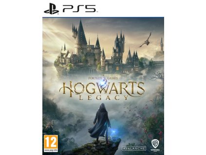 PS5 Hogwarts Legacy