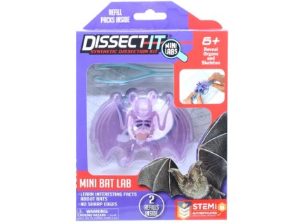 Vědecký experiment Netopýr