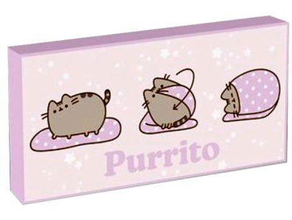 Svítící obraz Pusheen Purrito