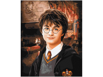 Malování podle čísel Harry Potter 40x50cm