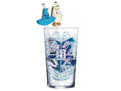 Sklenice s brčky Harry Potter Bradavice 485ml