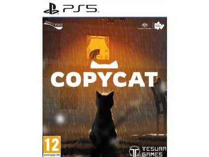 PS5 Copycat