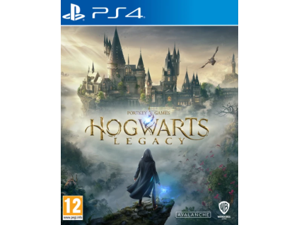 PS4 Hogwarts Legacy