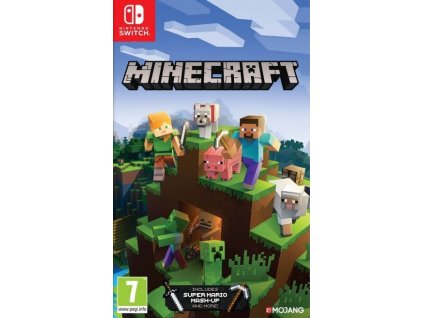 Switch Minecraft