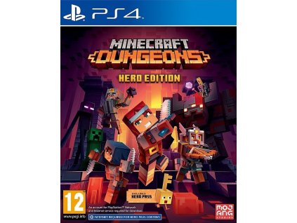 PS4 Minecraft Dungeons Hero Edition