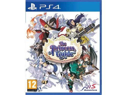 PS4 The Princess Guide