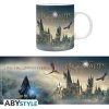 Hrnek Harry Potter Hogwarts Legacy Castle1