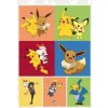 Kniha Pokémon Můj velký Pokémon DE1
