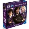 Puzzle Wednesday Vyvrhelové jsou v kurzu 300 dílků